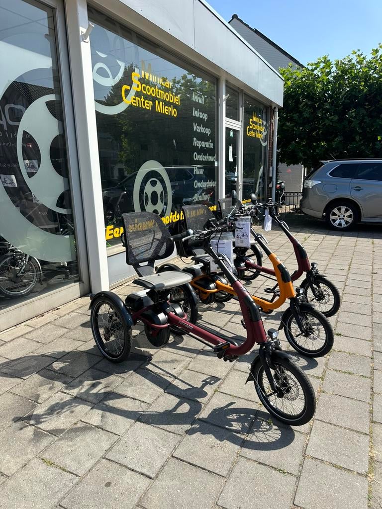 Van Raam Easy Rider Compact - Nieuw - Op Voorraad, Fietsen en Brommers, Ophalen of Verzenden, Nieuw, VAN RAAM