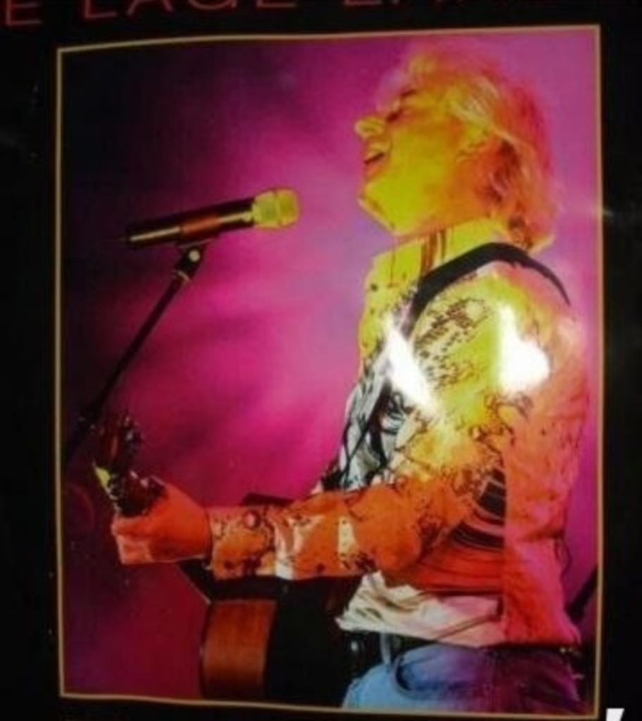 Boudewijn de Groot 'De lage landen' 2007 affiche poster, Verzenden, A1 t/m A3, Muziek, Rechthoekig Staand