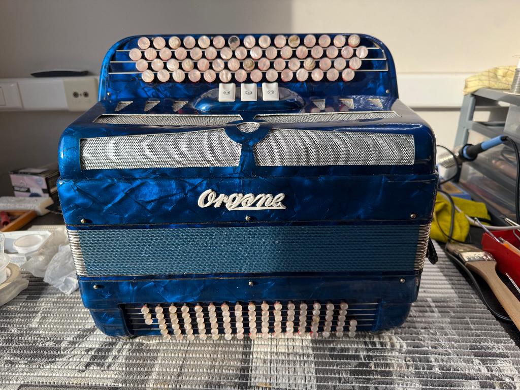 Accordéon, Musique & Instruments, Accordéons, Autres marques, Enlèvement, Utilisé, Avec bretelles