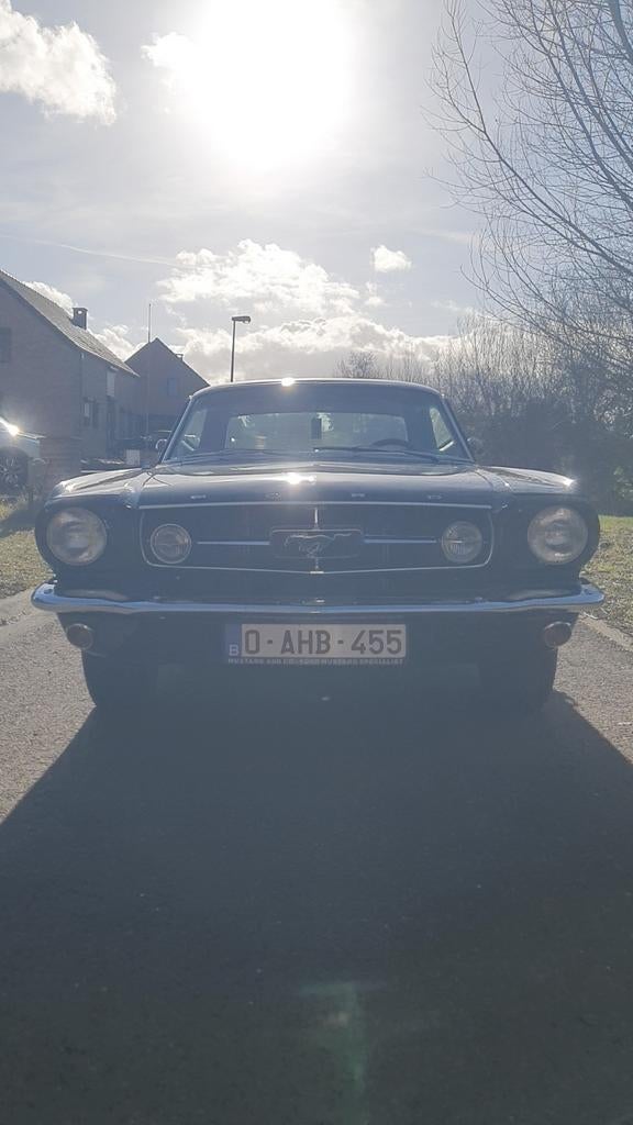 FORD MUSTANG 1965 V8 À VENDRE, Autos, Cuir, Achat, Intérieur cuir, Carnet d'entretien