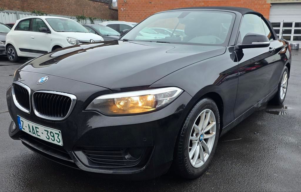 Bmw 220i Cabrio Euro 6 benzine, Auto's, Achterwielaandrijving, Euro 6, Zwart, Leder