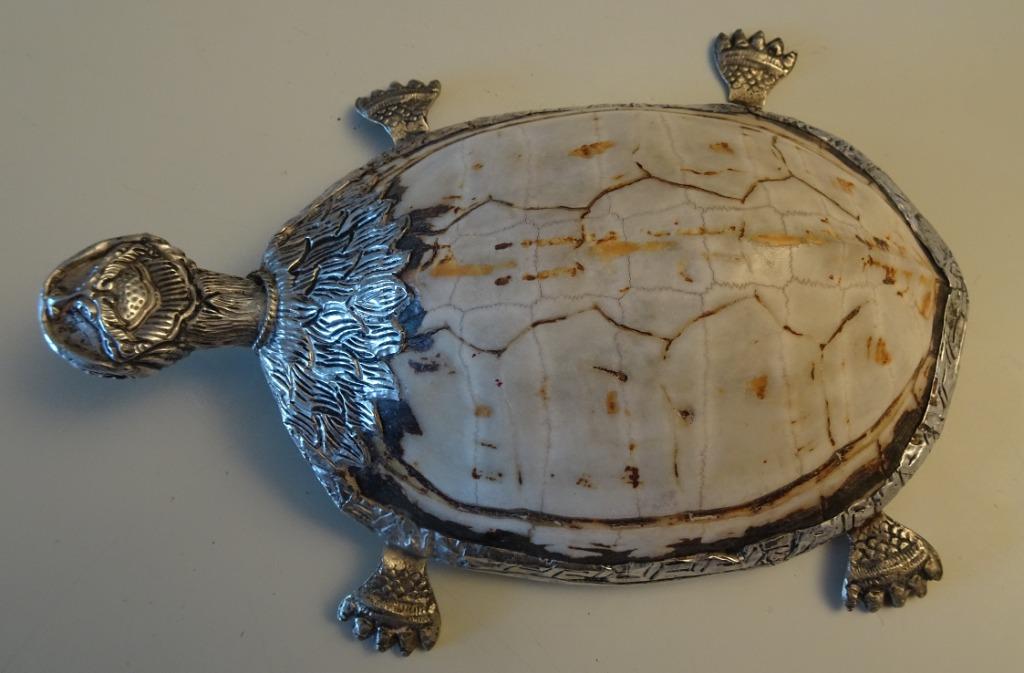 Tortue indienne en argent, Enlèvement ou Envoi, Utilisé, Animal