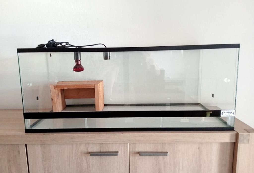 Terrarium 120x50x40cm etc..., Enlèvement, Comme neuf, Terrarium ou Paludarium