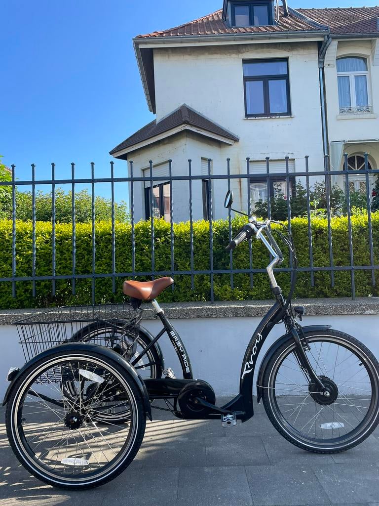 Easy Rider Proxy elektrische driewieler, nieuwstaat, Diversen, Ophalen of Verzenden, Zo goed als nieuw