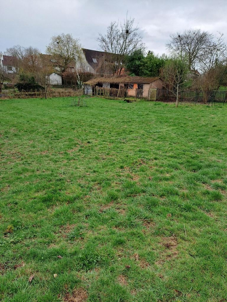 Paardenweide met Ohain-box, Dieren en Toebehoren, Stalling en Weidegang, Stalling, Weidegang, Accessoires, 2 of 3 paarden of pony's