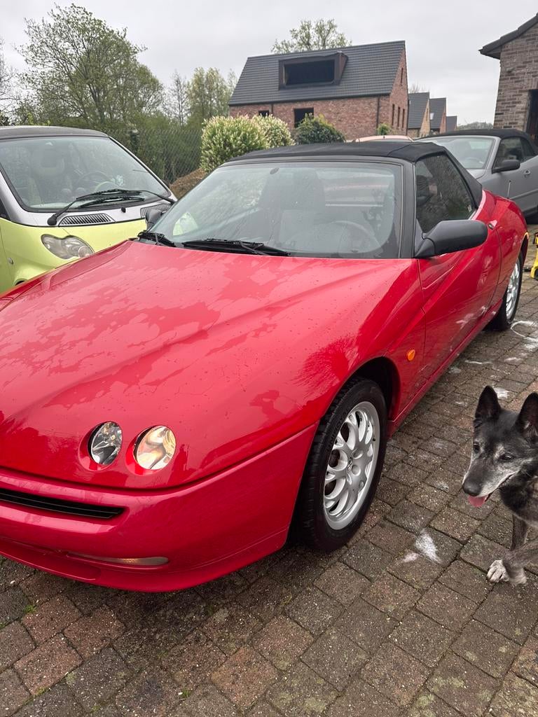 @@@ ALFA ROMÉO SPIDER @@@, Autos, Alfa Romeo, Entreprise, Achat, Spider, Airbags, Verrouillage central, Vitres électriques, Jantes en alliage léger