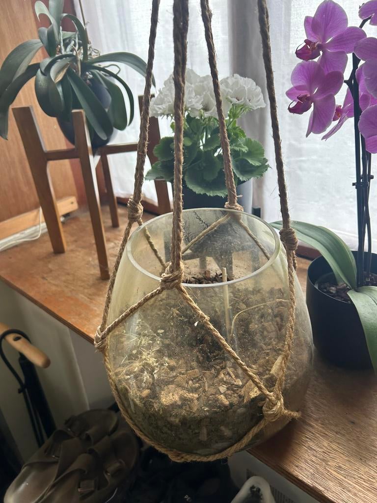 Planten hanger bloempot, Tuin en Terras, Ophalen, Zo goed als nieuw