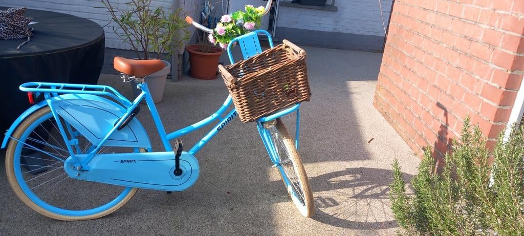 Fiets met fietsmand 26 inch, Enlèvement