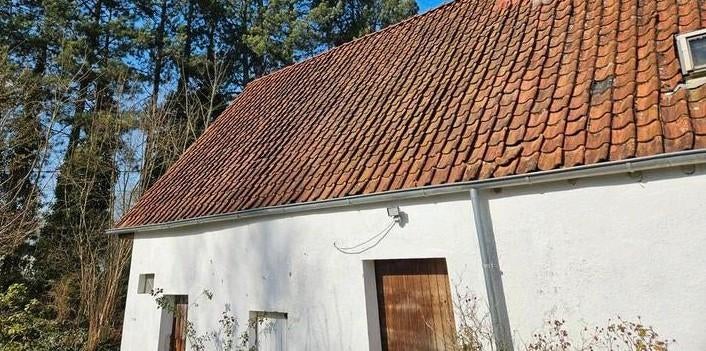 Zinken dakgoten en regenpijpen, Ophalen, Gebruikt, 6 meter of meer, Zink