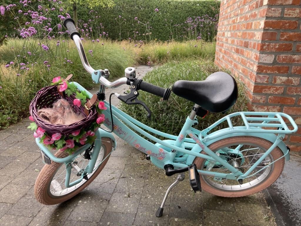 Meisjesfiets 16 inch in hele mooie staat (turquoise), Fietsen en Brommers, Ophalen, Gebruikt, 16 inch, Handrem