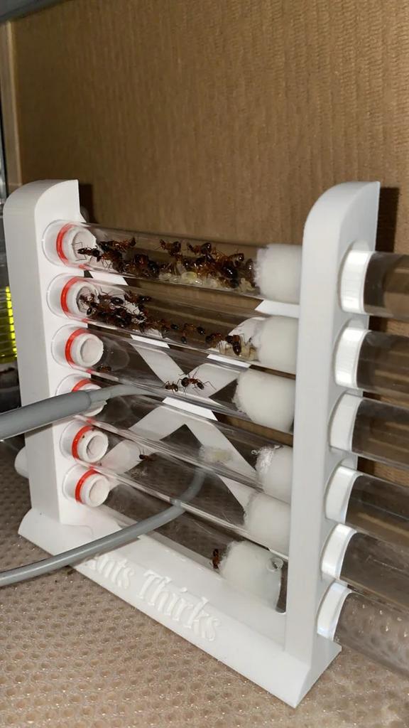 Grand nid de fourmis en tube à essai, Animaux & Accessoires, Insectes & Araignées, Fourmis