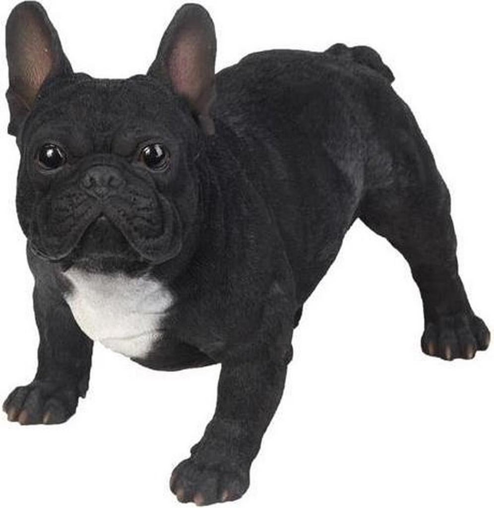 Statue de jardin bouledogue français, Enlèvement ou Envoi