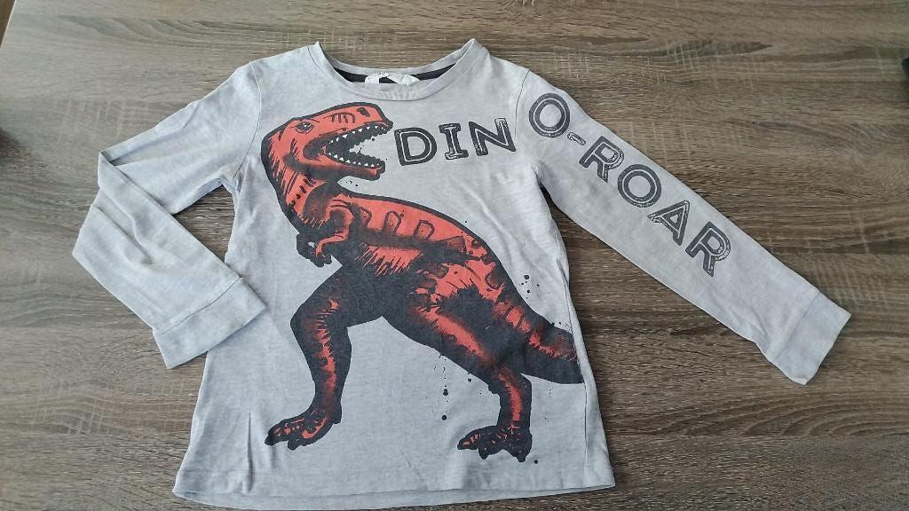t-shirt 122, Kinderen en Baby's, Kinderkleding | Maat 122, Ophalen, Gebruikt, H&M, Shirt of Longsleeve