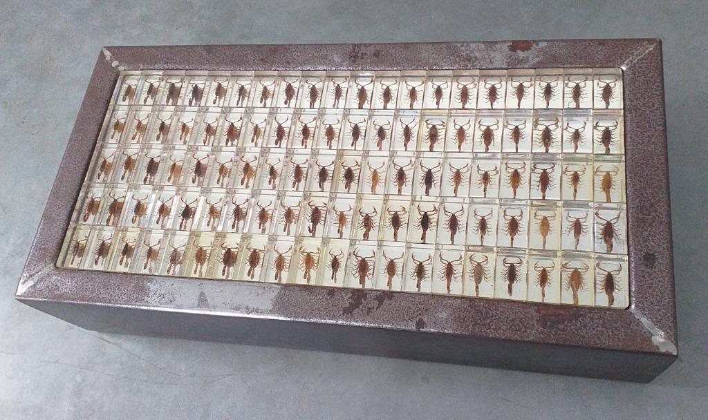 Table de salon "Scorpions", Maison & Meubles, Moins de 50 cm, Enlèvement ou Envoi, 50 à 100 cm, Utilisé