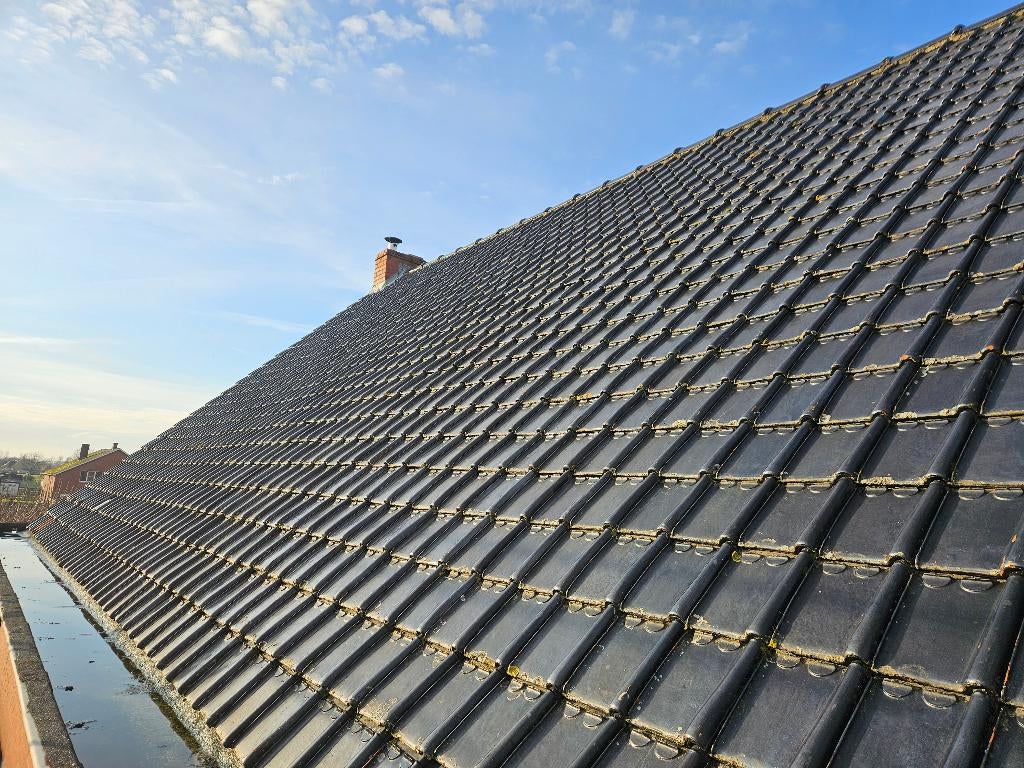 3000x Stormpan 44 zwart geglazuurd voor 140 m2 dakoppervlak, Ophalen, Gebruikt, Steen of Klei, Zwart