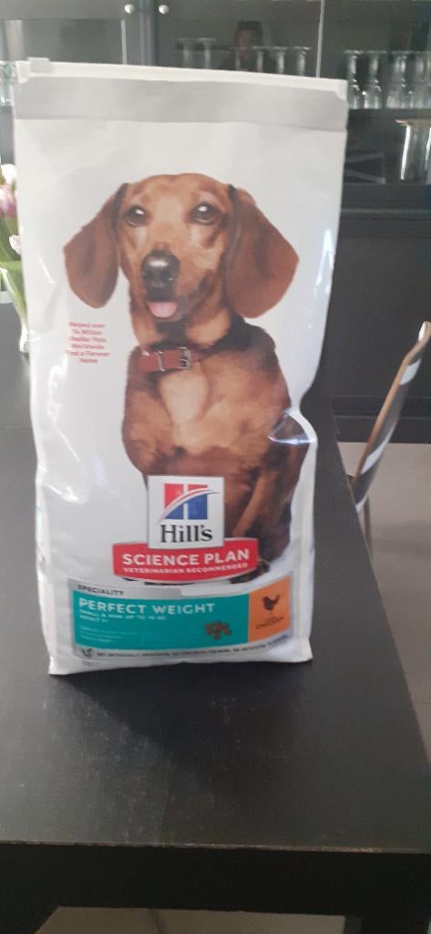 Croquette hill's pour chien, Enlèvement, Chien