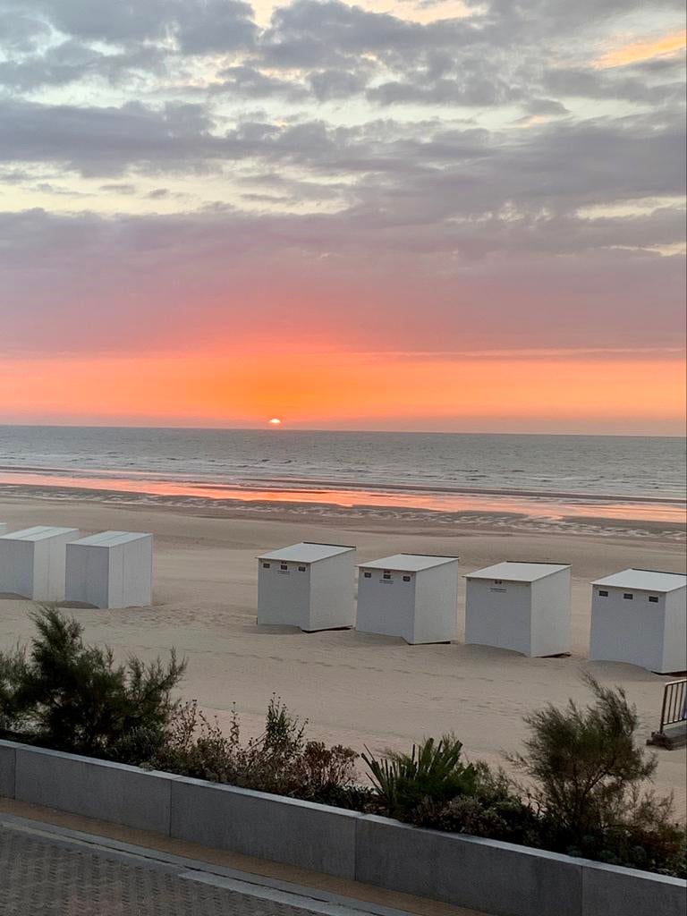 App Digue Coxyde Max 4 pers, Propriétaire, TV, Anvers et Flandres, 1 chambre