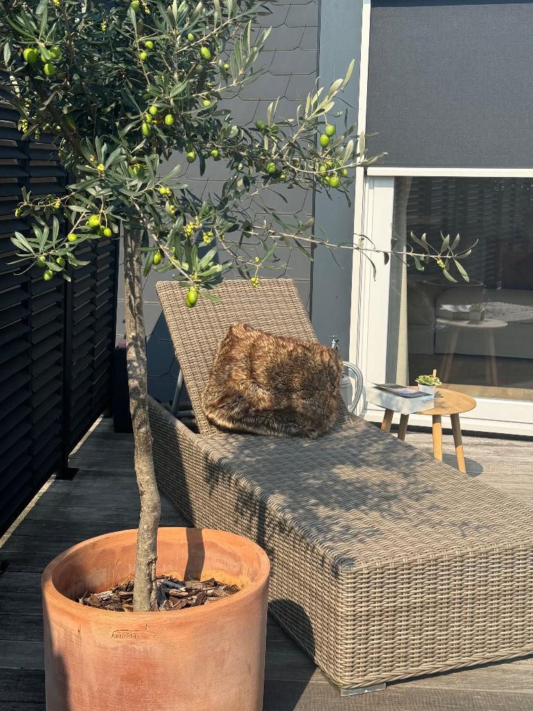 Ligbed - Prananatha, Enlèvement, Utilisé, Synthétique