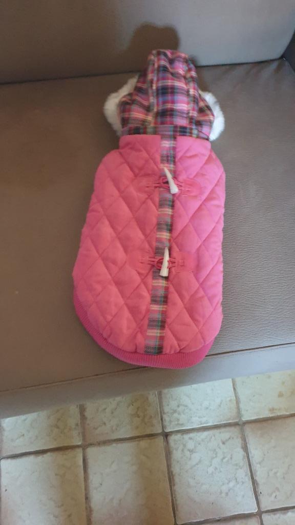 Manteau pour chien avec capuche neuf, Animaux & Accessoires, Vêtements pour chiens, Enlèvement, Manteau pour chien