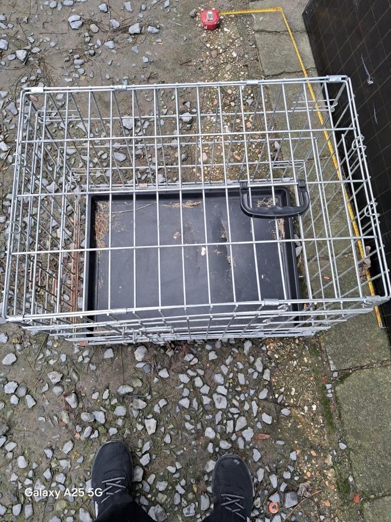 Transportkooi, Dieren en Toebehoren, Ophalen