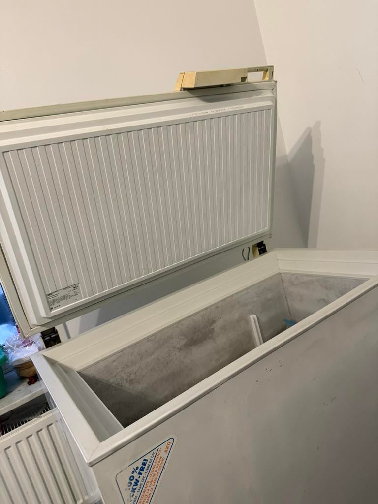 Diepvries, Elektronische apparatuur, Vriezers en Diepvrieskisten, Ophalen, Zo goed als nieuw, Vrijstaand, Vrieskist