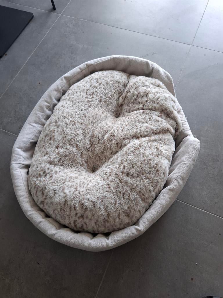 Hondenkussen, Dieren en Toebehoren, Kattenmanden, Ophalen