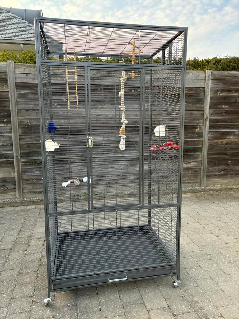 Papegaaien/parkieten kooi, Dieren en Toebehoren, Ophalen, Gebruikt
