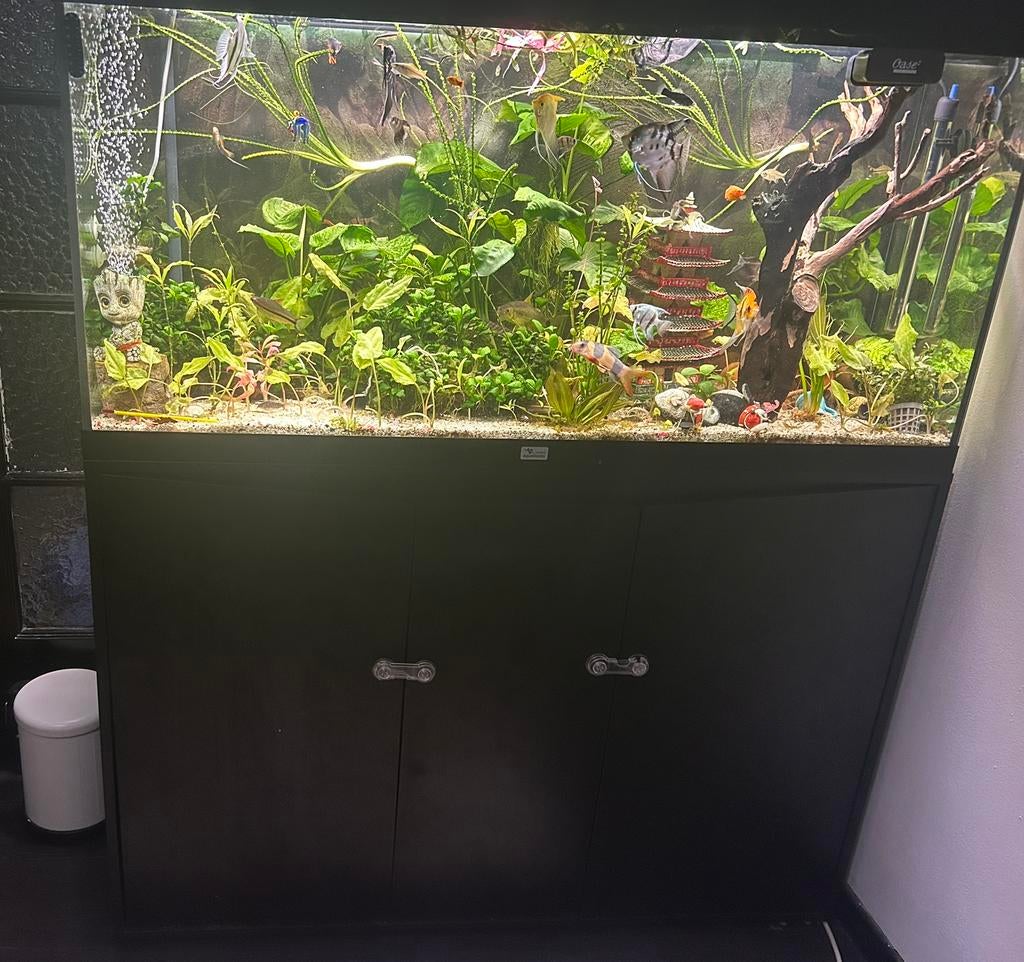 aquarium, Dieren en Toebehoren, Ophalen, Zo goed als nieuw, Filter