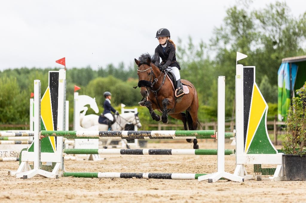 Lieve, vlotte c-springpony, Dieren en Toebehoren, Pony's, Springpony, 11 jaar of ouder, Merrie, Gechipt