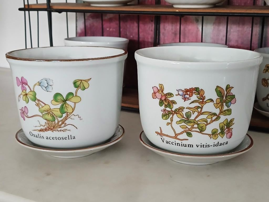 Vintage bloempotten botanica porselein Ø 13,5cm met schotel, Ophalen of Verzenden, Binnen