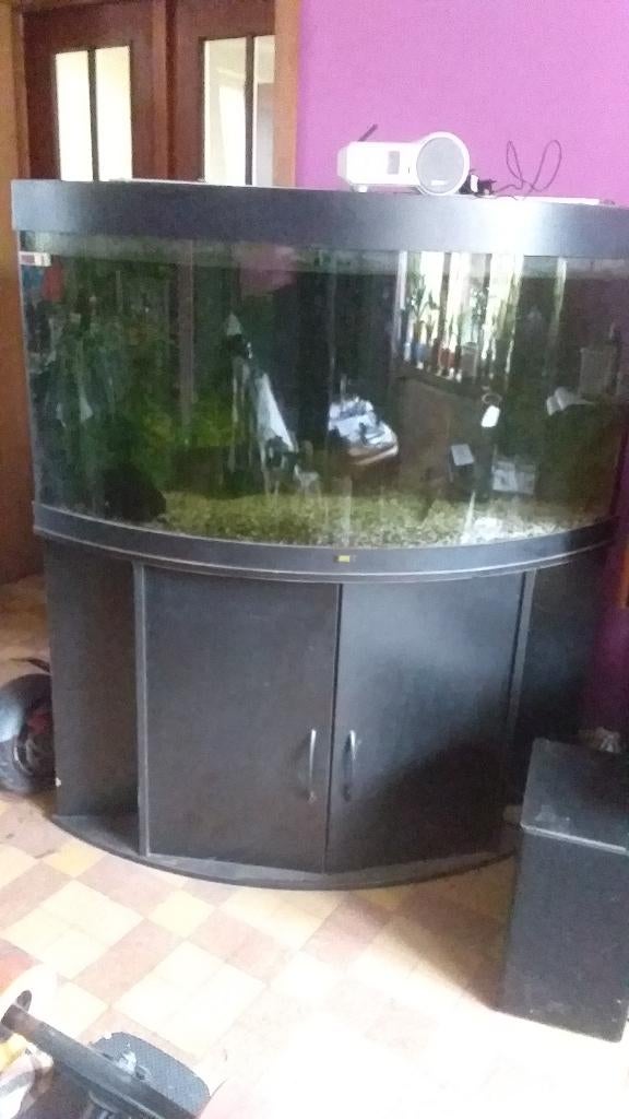 Juwel 350L hoekaquarium, Dieren en Toebehoren, Ophalen, Gebruikt