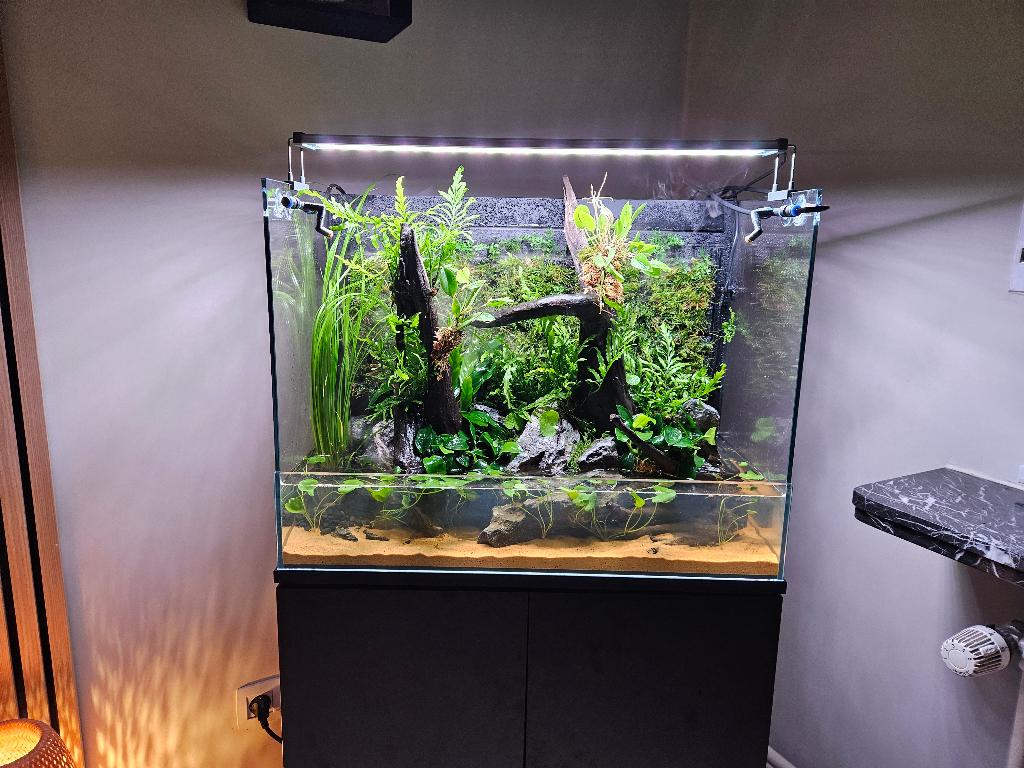 Paludarium UNS foresta 60x36 cm H:45 cm, Animaux & Accessoires, Enlèvement, Comme neuf, Aquarium vide