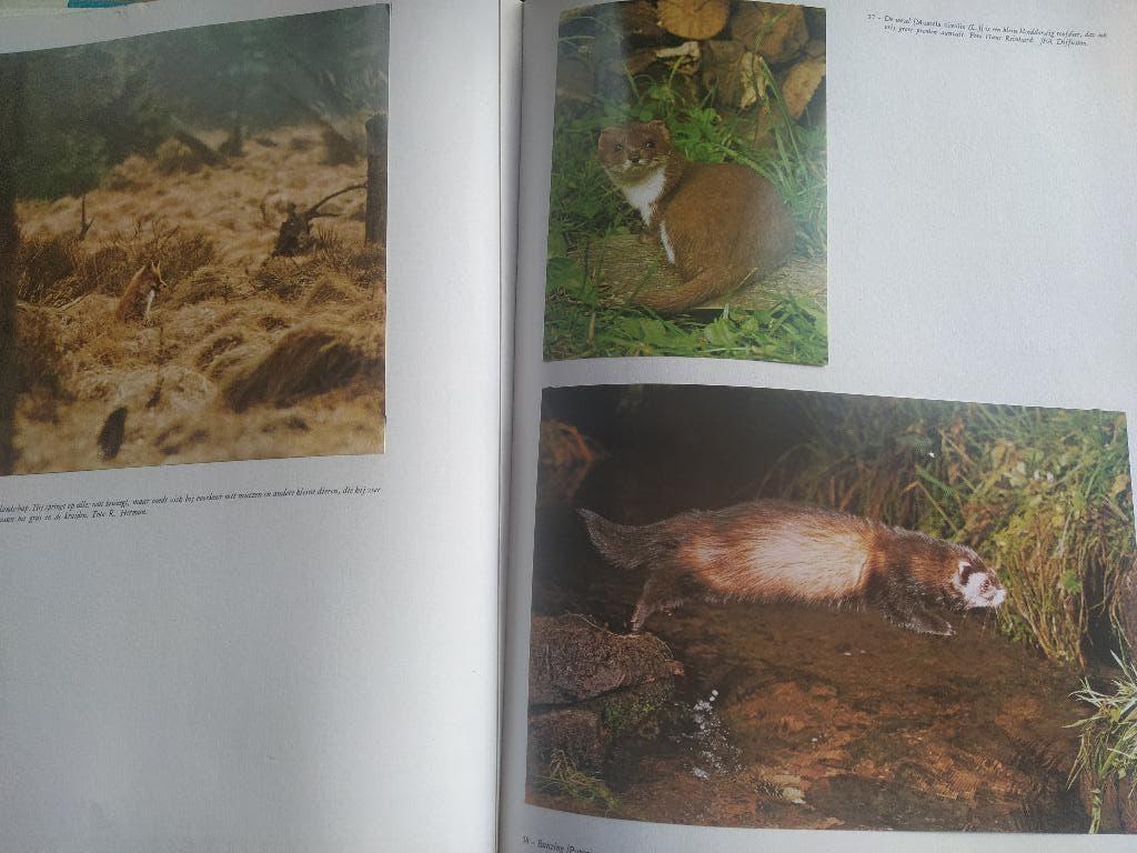 boek: Natuur- en Vogelreservaten/Hoge Venen & De Kempen, Boeken, Natuur, Ophalen of Verzenden, Gelezen, Natuur algemeen