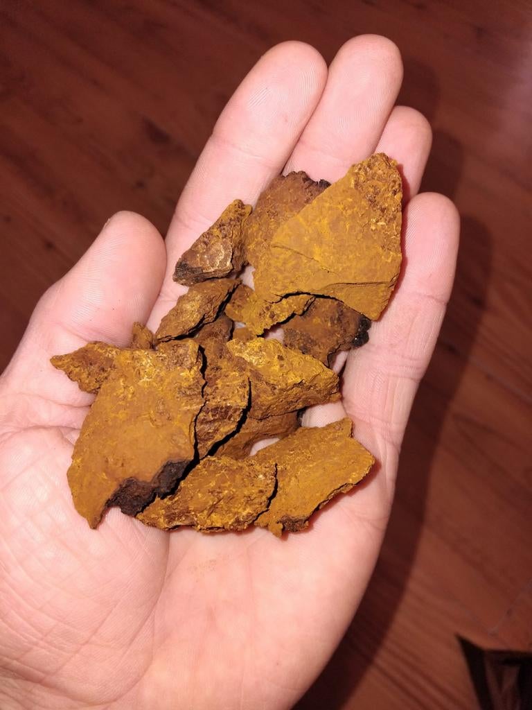 CHAGA de bouleau sauvage BIO., Enlèvement ou Envoi