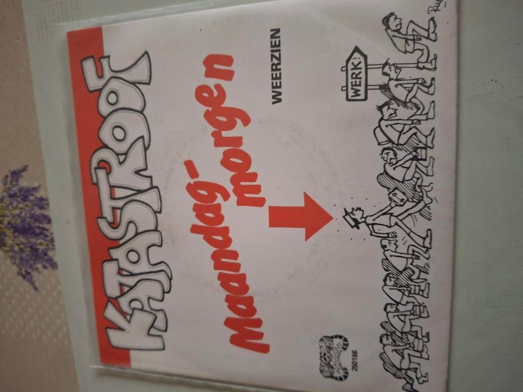 Katastroof, Ophalen of Verzenden, Zo goed als nieuw