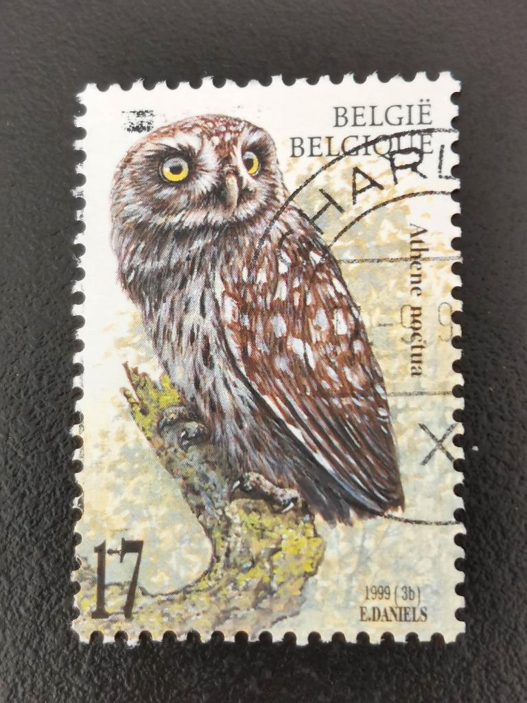 Belgie 1999 - vogels - uilen - Steenuil, Ophalen of Verzenden, Gestempeld