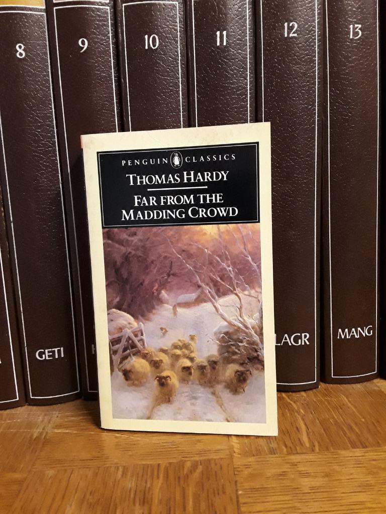 Pakket Thomas Hardy, Boeken, België, Ophalen of Verzenden, Zo goed als nieuw, Thomas Hardy