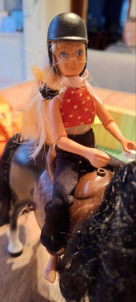 Lego scala camping cheval, Enlèvement