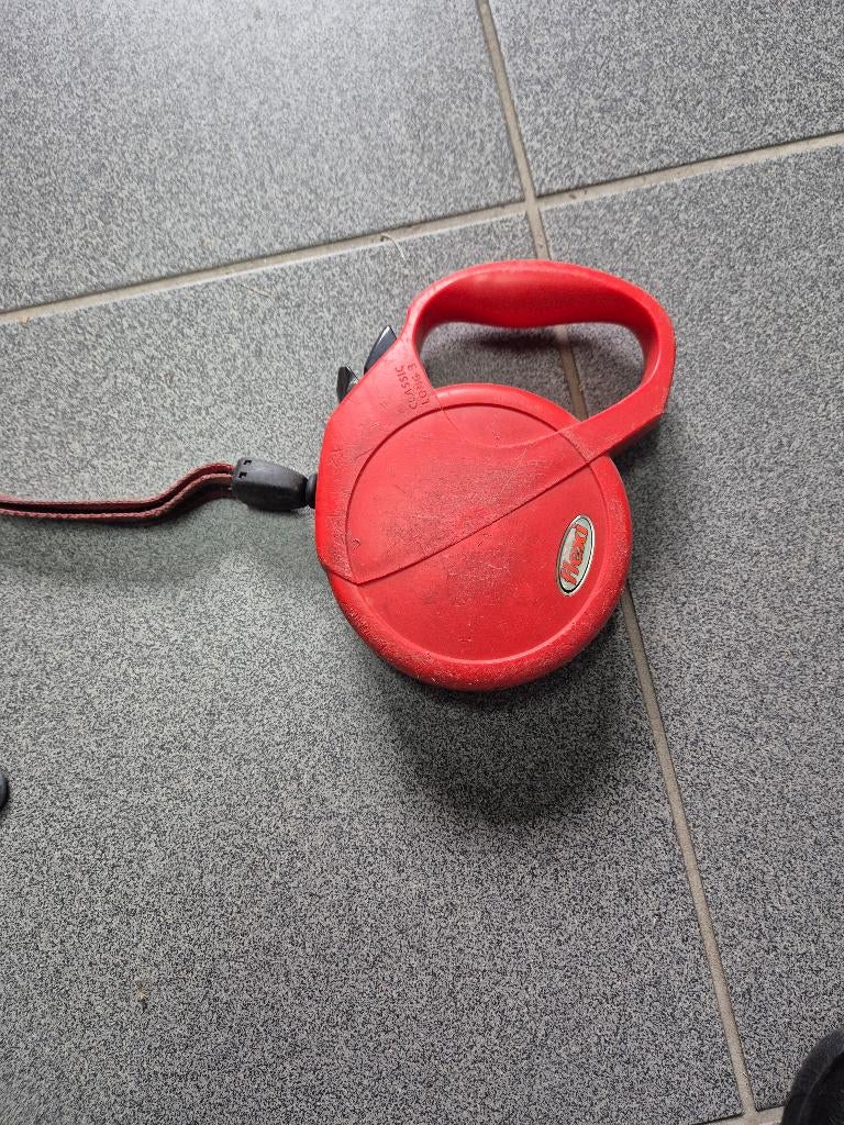 Laisse pour chien Flexi, Animaux & Accessoires, Enlèvement, Utilisé, Laisse pour chien