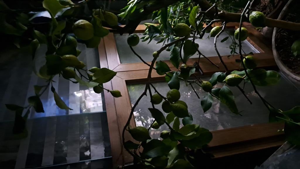 Châssis 140125 + double porte vitrée