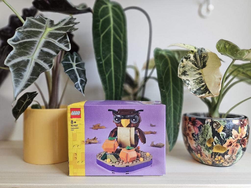 LEGO 40497 - Halloween Owl MISB, Verzenden, Nieuw, Complete set, Lego