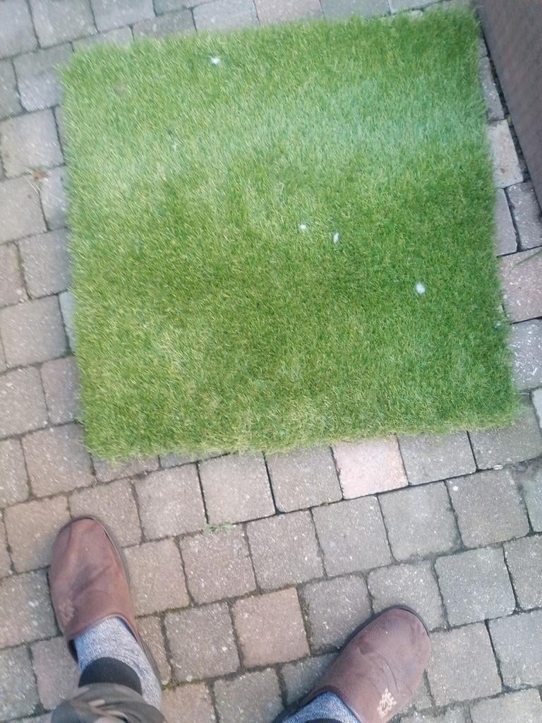 Kunstgras 220 cm op 260 cm, Tuin en Terras, Gras en Kunstgras, Ophalen, Kunstgras