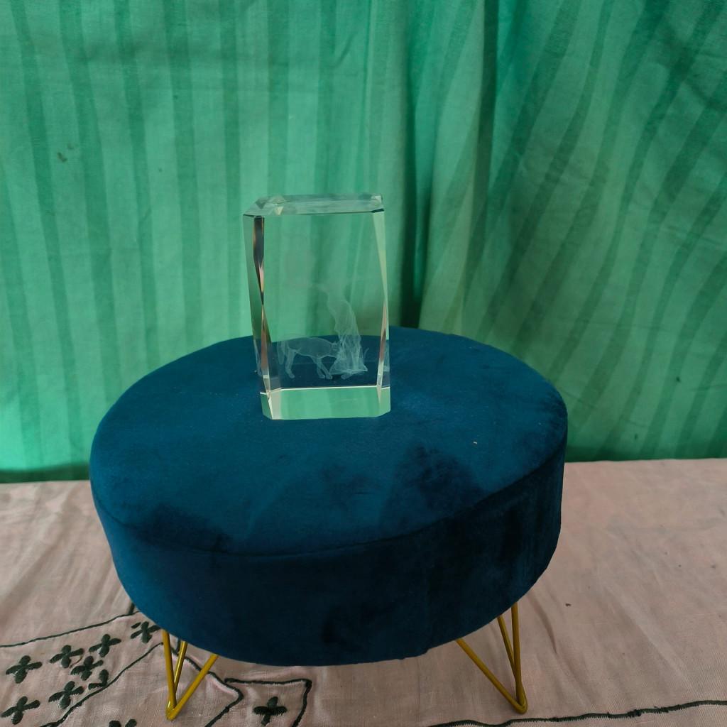 Afbeelding in glas + mini poefje (blauw fluweel), Verzamelen, Overige Verzamelen, Ophalen of Verzenden, Zo goed als nieuw