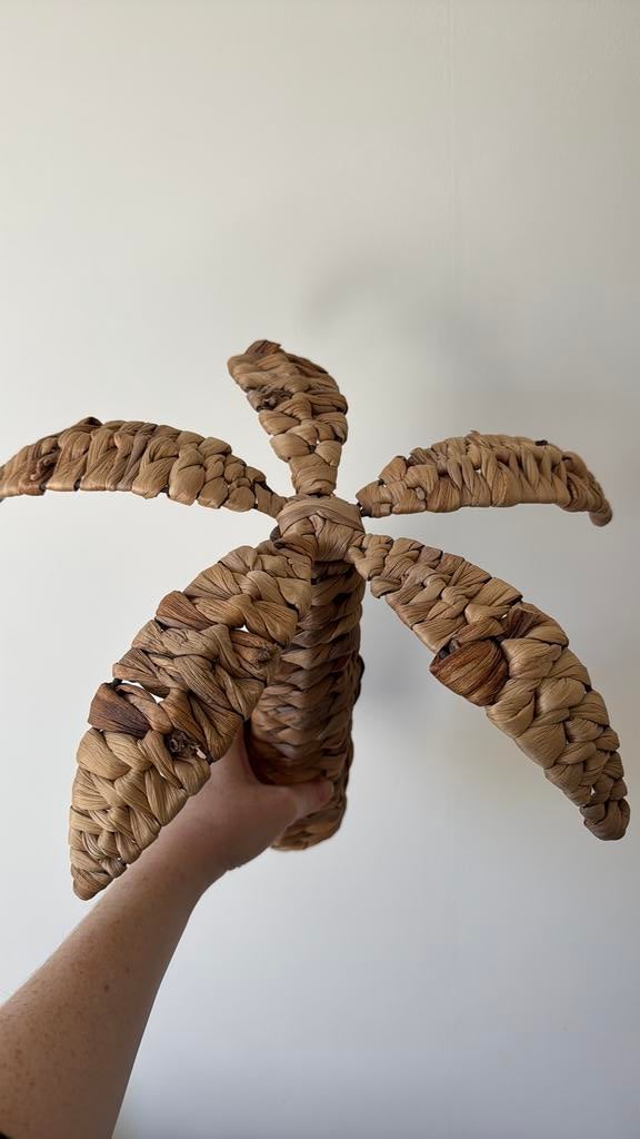 Decoratie rotan palmboom, Ophalen