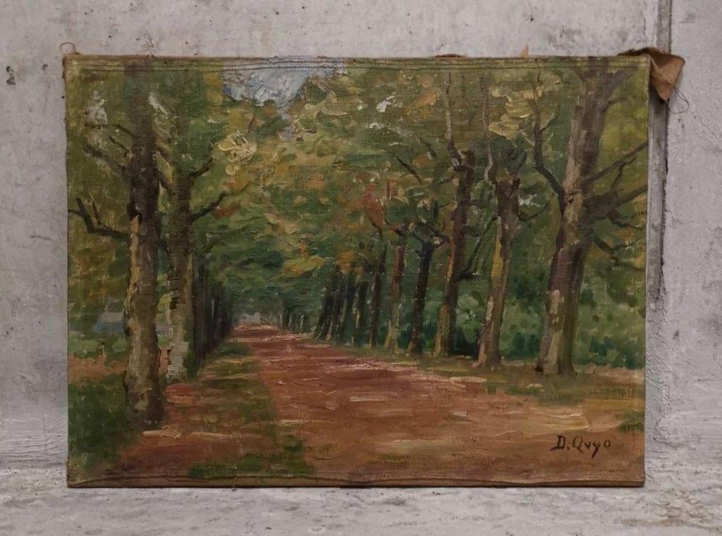 Ruelle ensoleillée bordée de platanes - Daniel Quyo, Antiquités & Art, Enlèvement