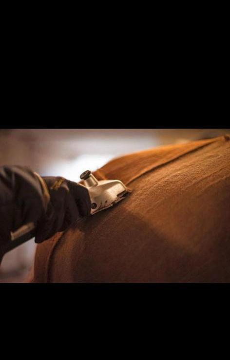 Scheren van paarden/pony’s, Dieren en Toebehoren, Pony's