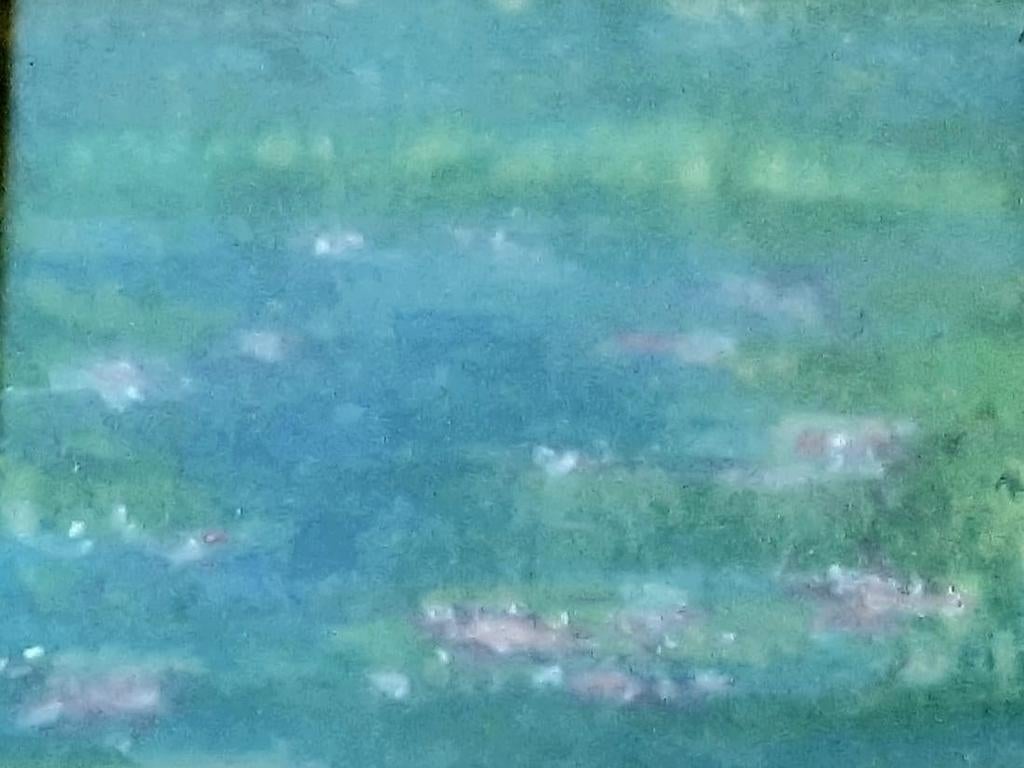 Waterlelies, Ophalen