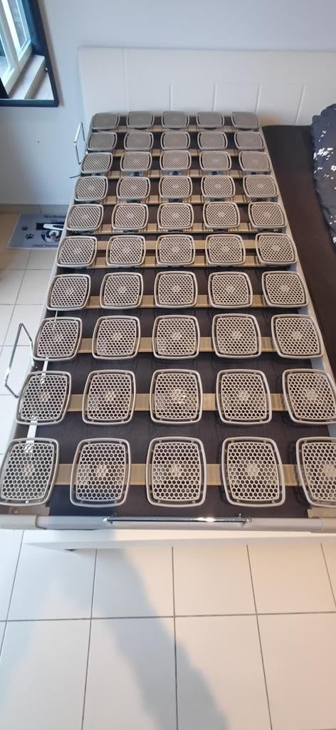 Schotelbodem tempur, Enlèvement