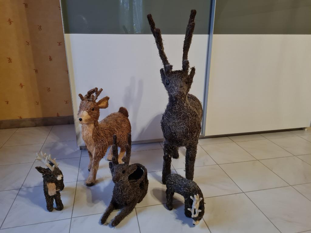 rendieren, Ophalen, Gebruikt