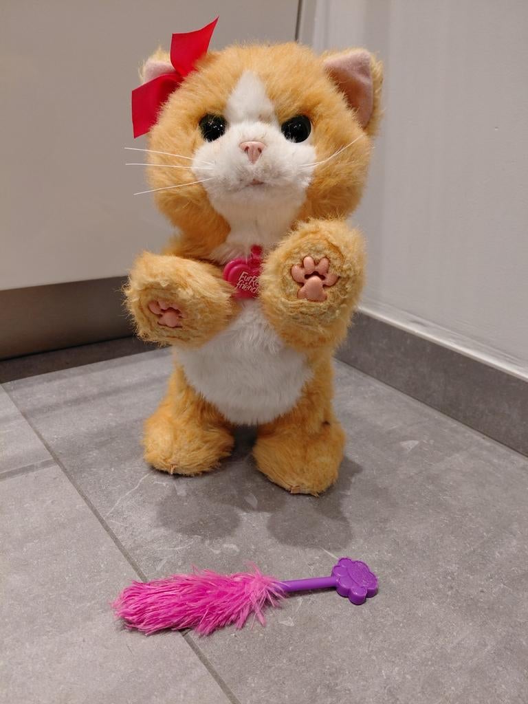 FurReal Kat Daisy, Ophalen